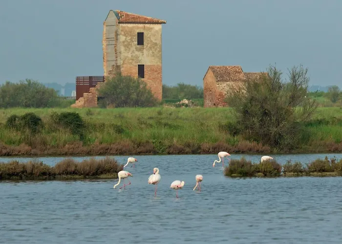 Cost Fieramosca Apartmán